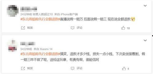 最新东北网红事件爆料,揭秘幕后真相与网络舆论风暴